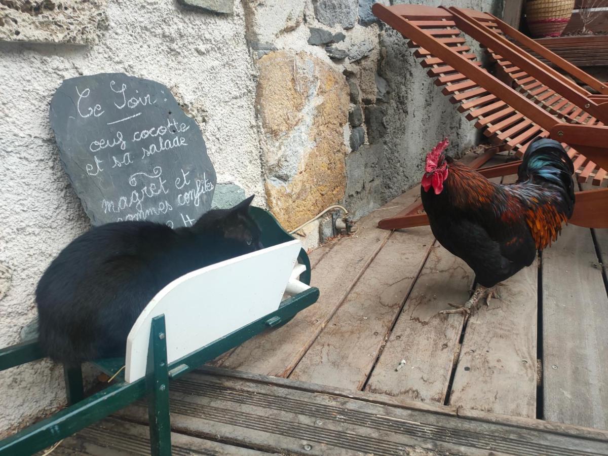 Chambres D'Hotes Les Chatougoulis Les Bordes-sur-Lez Exterior foto